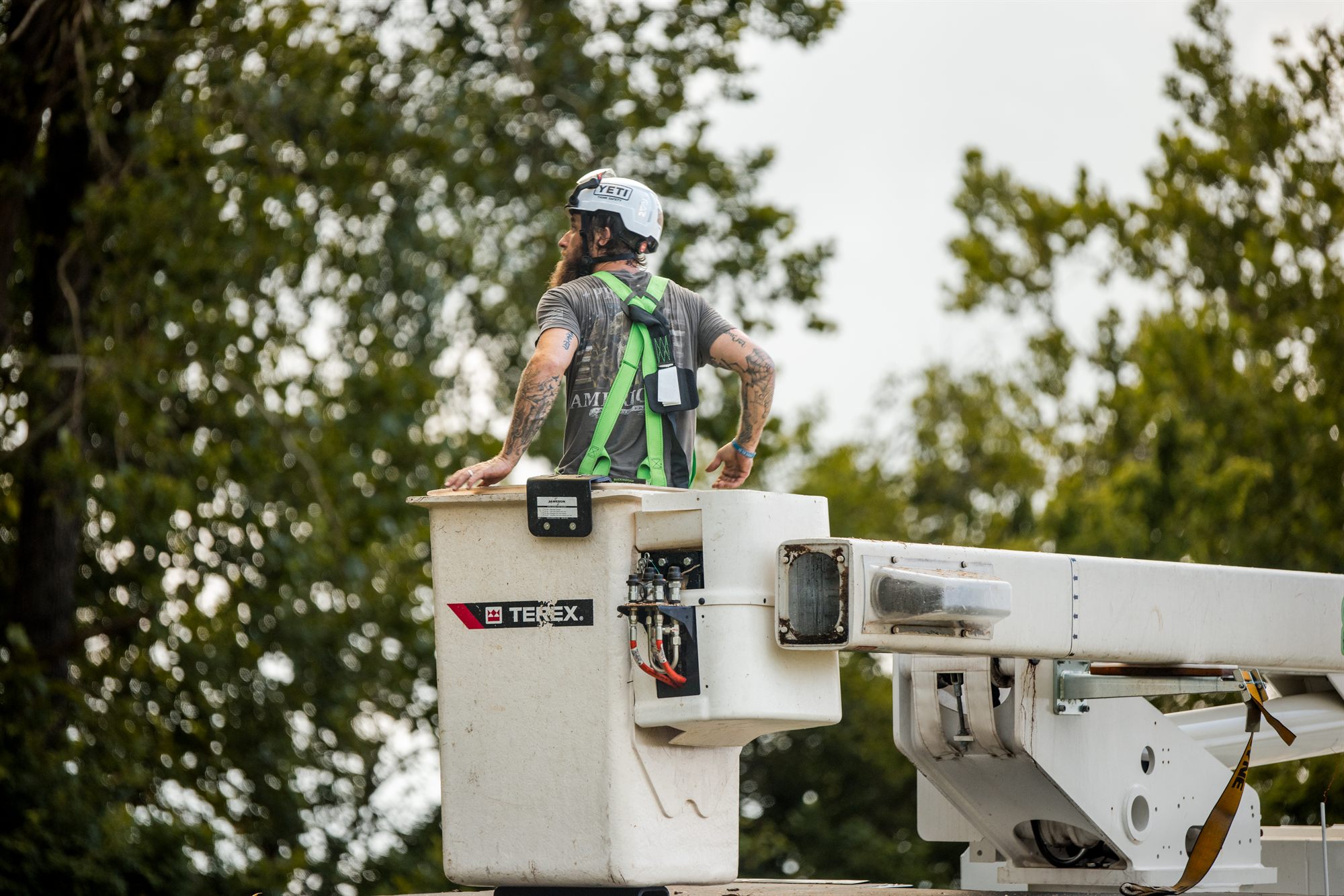 Mother Nature Tree Service crew on a tree health call in Winchester, VA