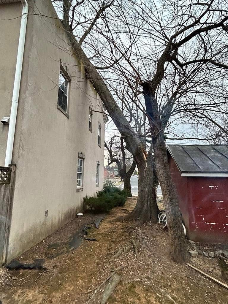 Storm split tree leaning over a home before emergency removal near Winchester, VA