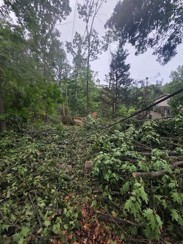 Storm blowdown covering a yard with downed limbs near power lines in the Shenandoah Valley