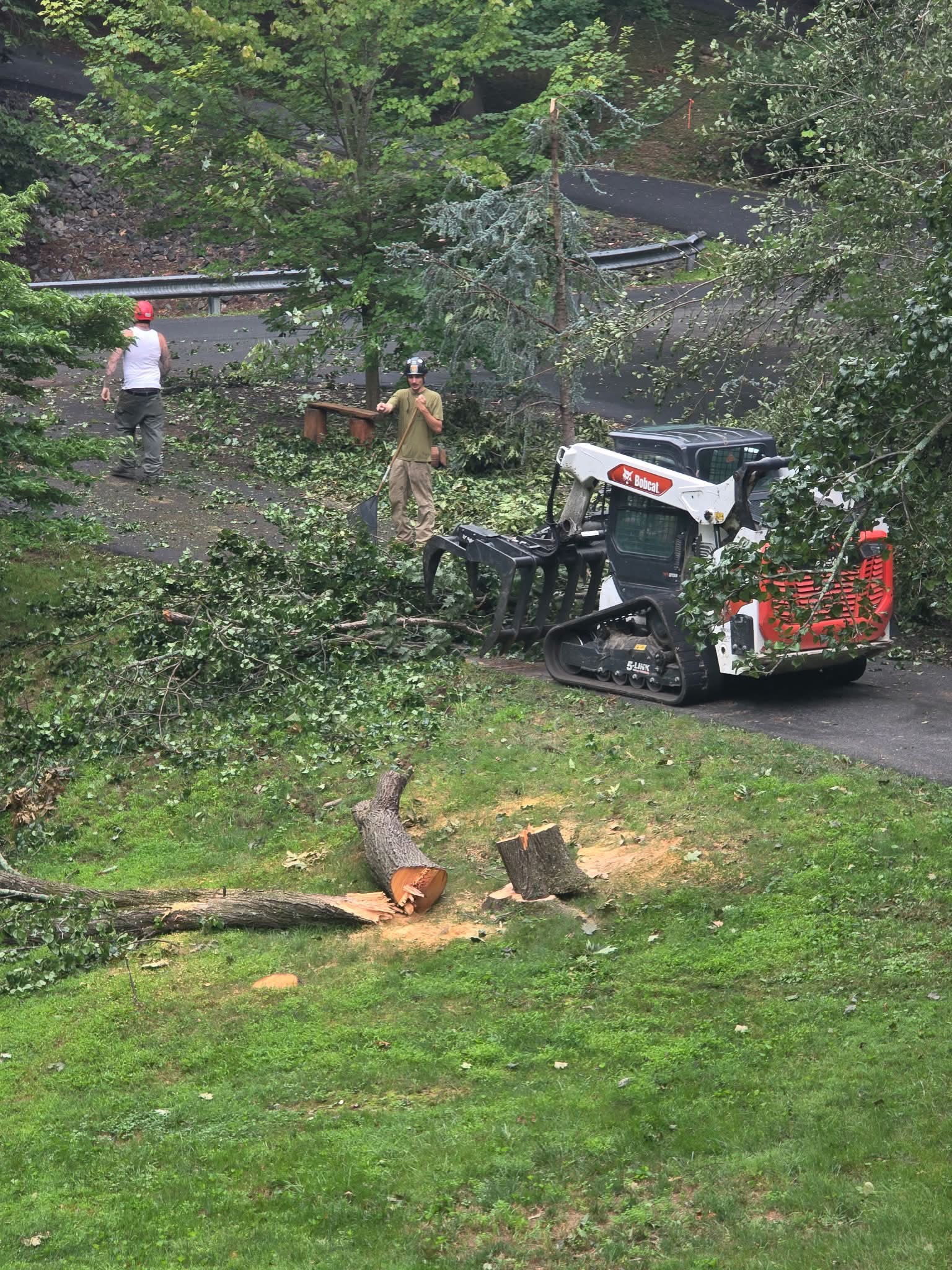 Mother Nature Tree Service crew and Bobcat grapple clearing storm debris from a driveway near Winchester, VA