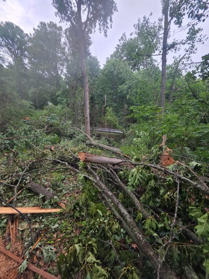 Storm downed limbs and splintered branches blocking a roadside near Winchester, VA