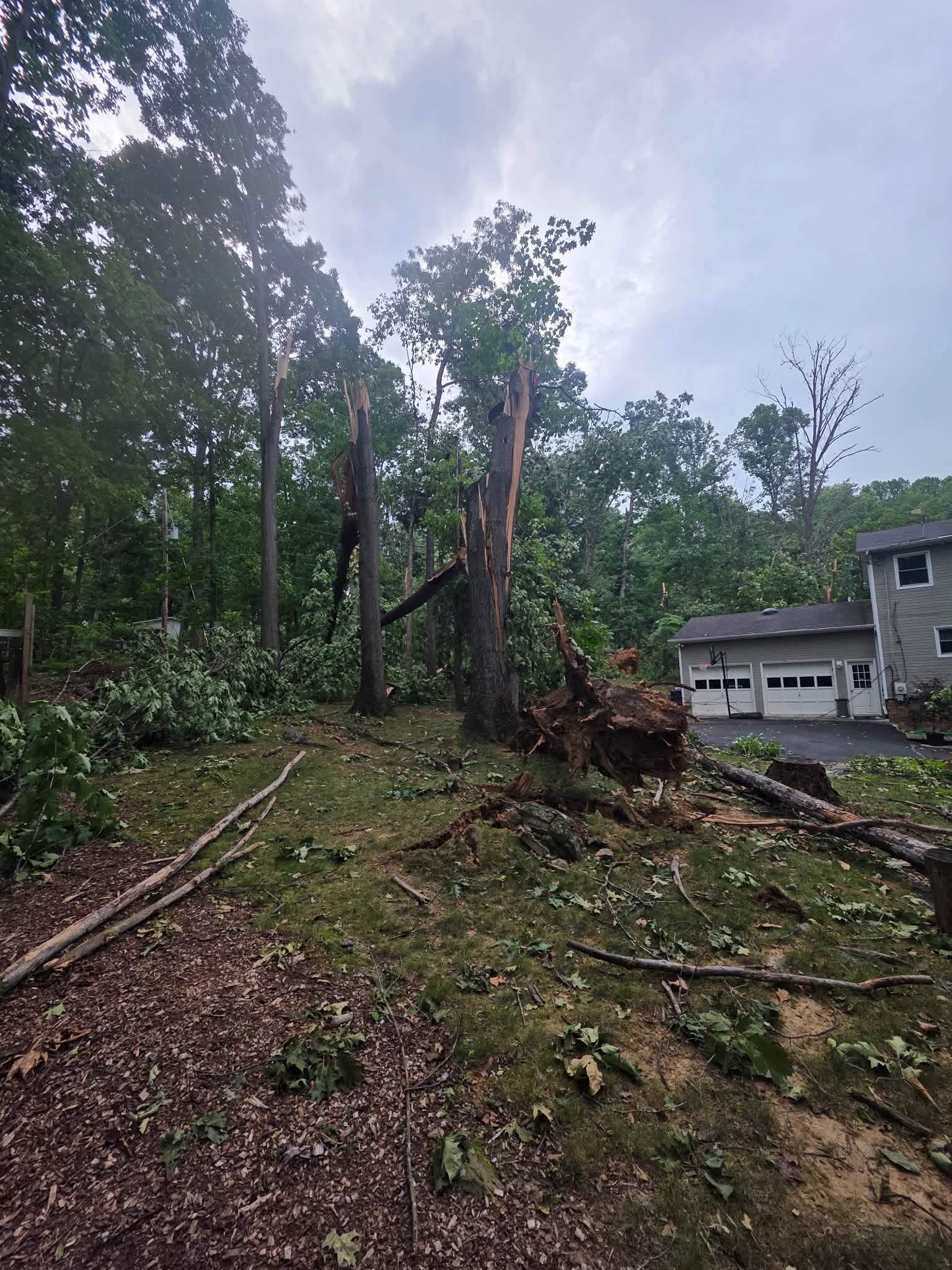 Uprooted root ball and snapped trunks feet from a garage after a storm near Winchester, VA