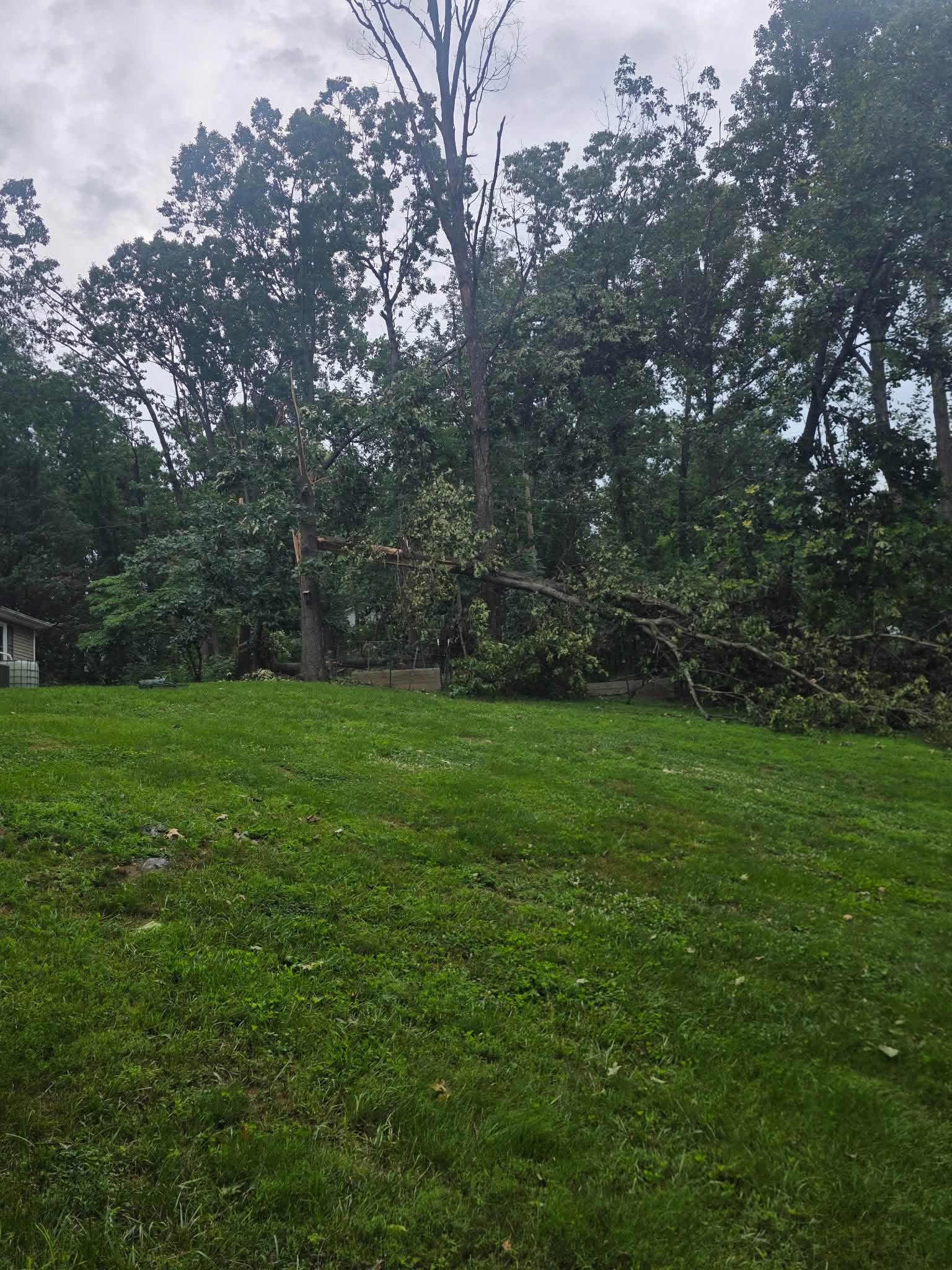 Tree snapped mid trunk and hung across the treeline behind a home near Winchester, VA