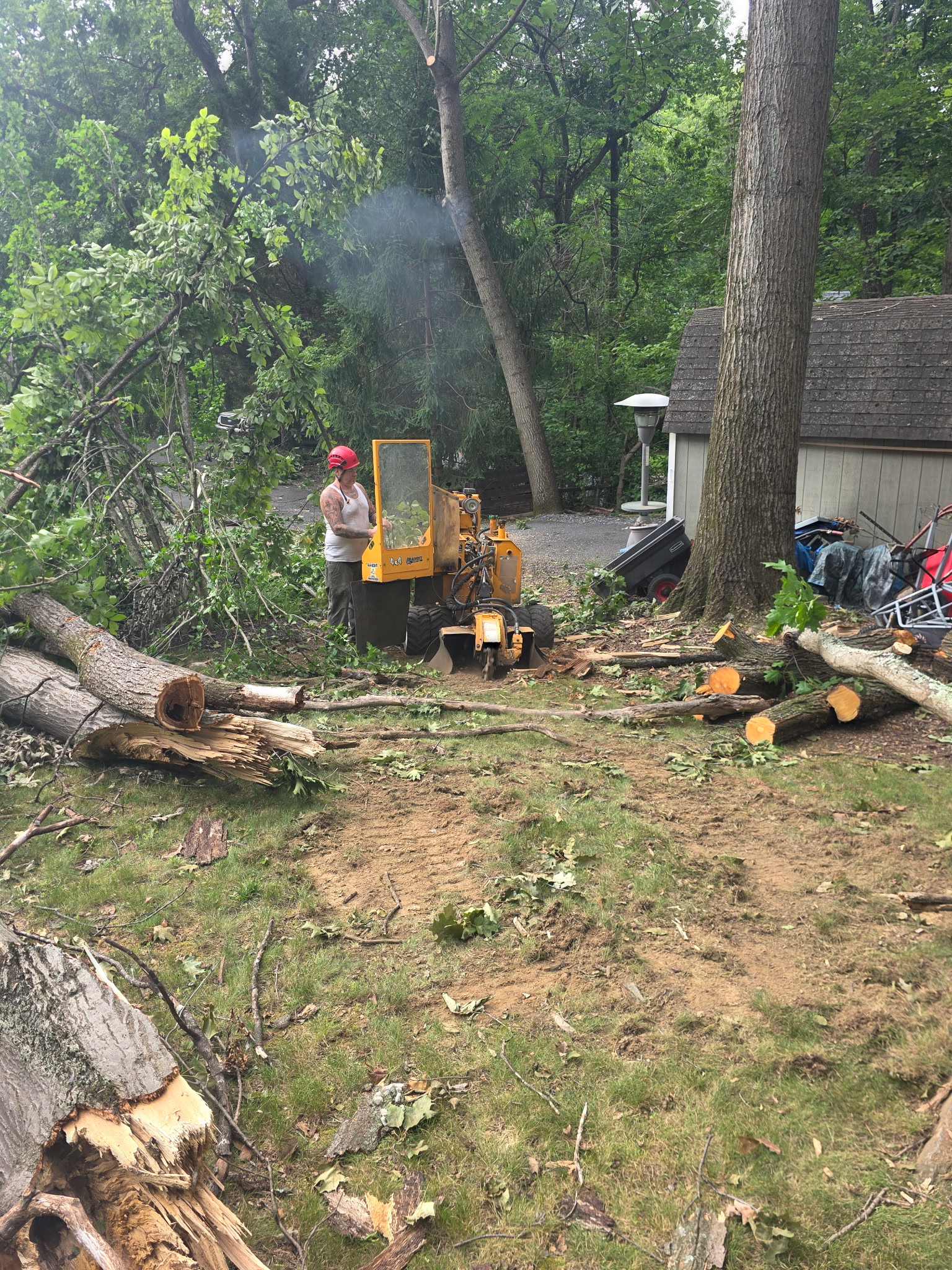 Bandit stump grinder chewing out a stump on a Winchester, VA property