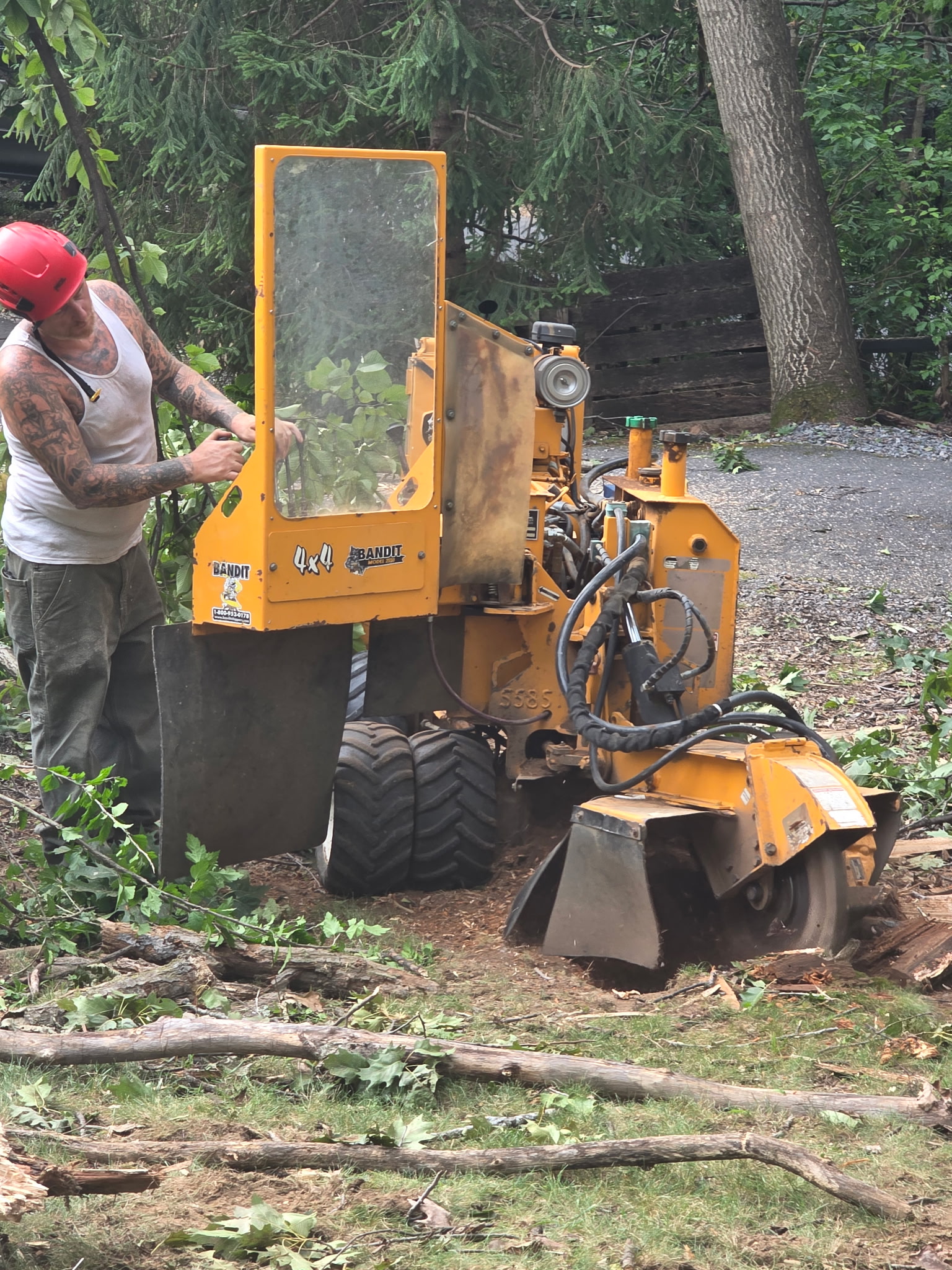 Stump grinder wheel working a stump below grade in Winchester, VA