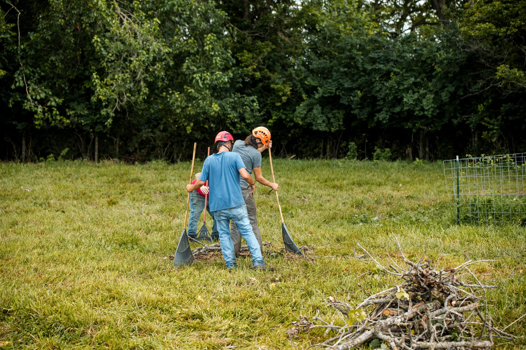 Three crew members raking cut limbs into a pile in a grass field at the edge of the woods