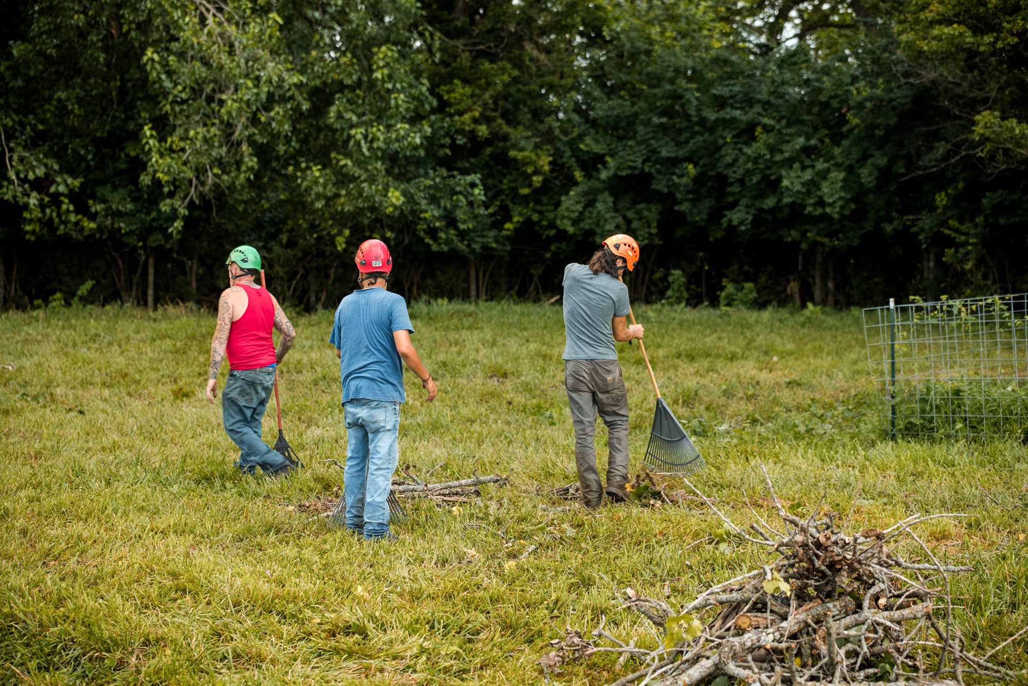 Crew working at ground level around the root zone in Winchester, VA