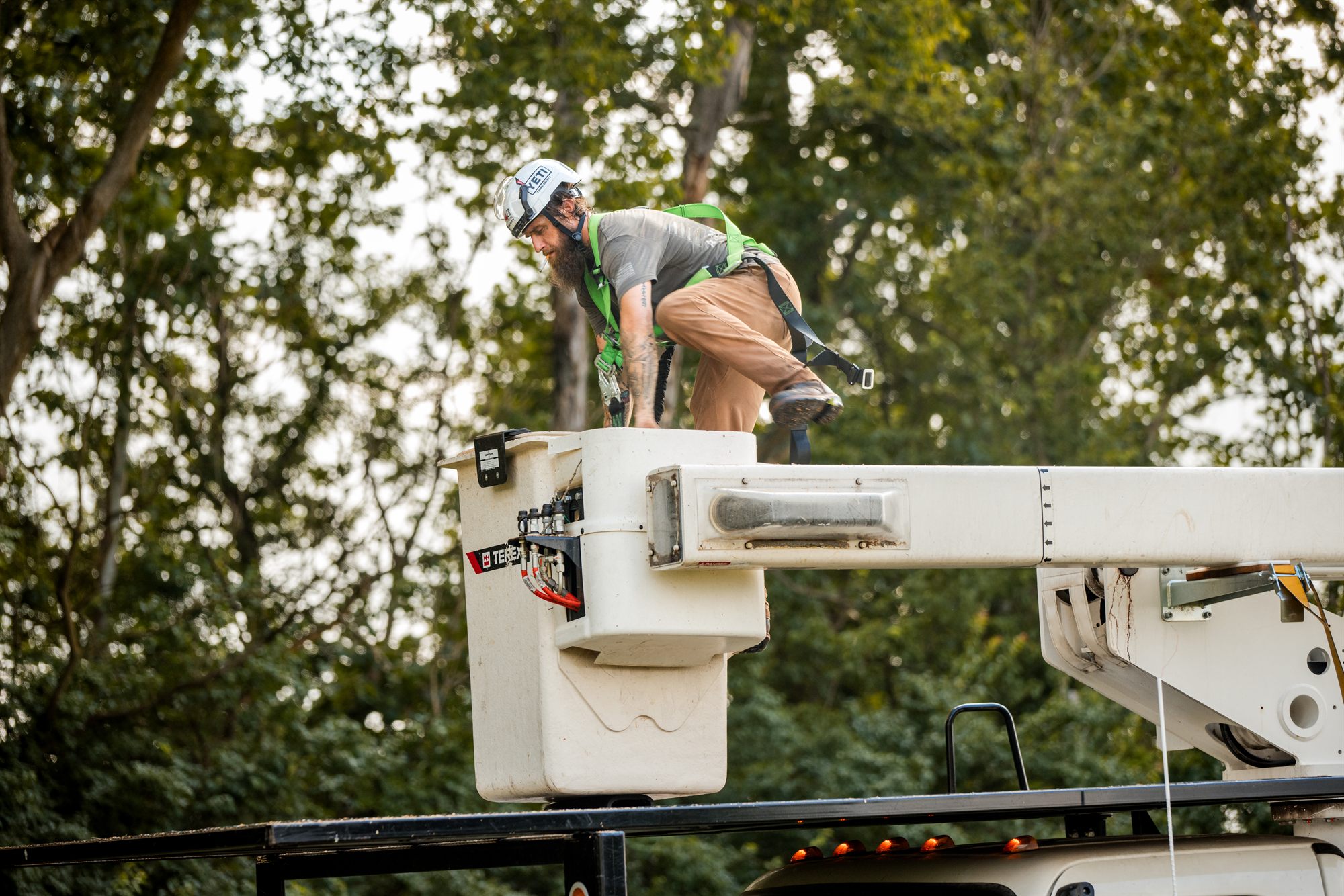 Arborist in a safety harness stepping over the rail into the aerial bucket on the truck