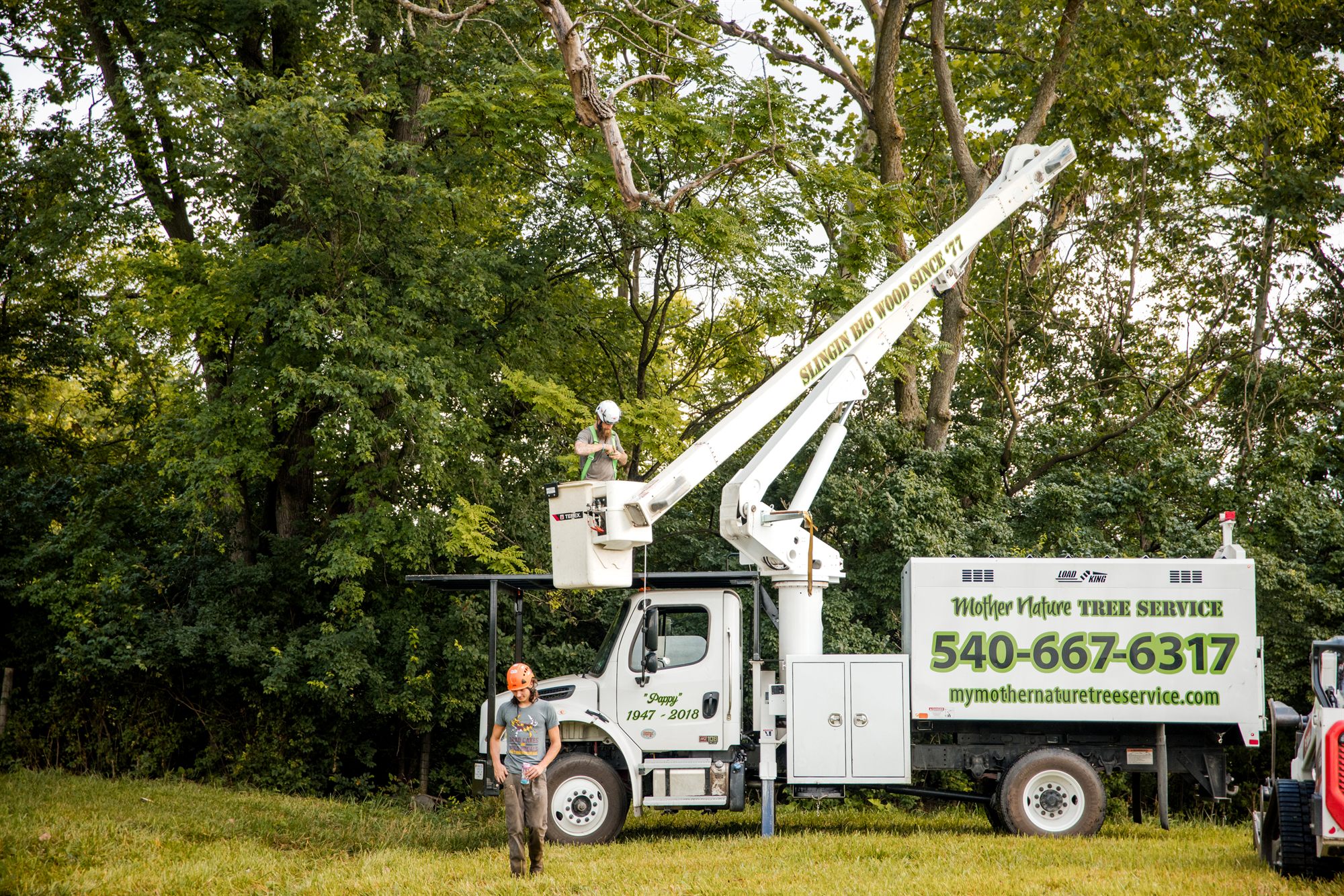 Arborist stepping into the aerial bucket of a boom truck in Winchester, VA
