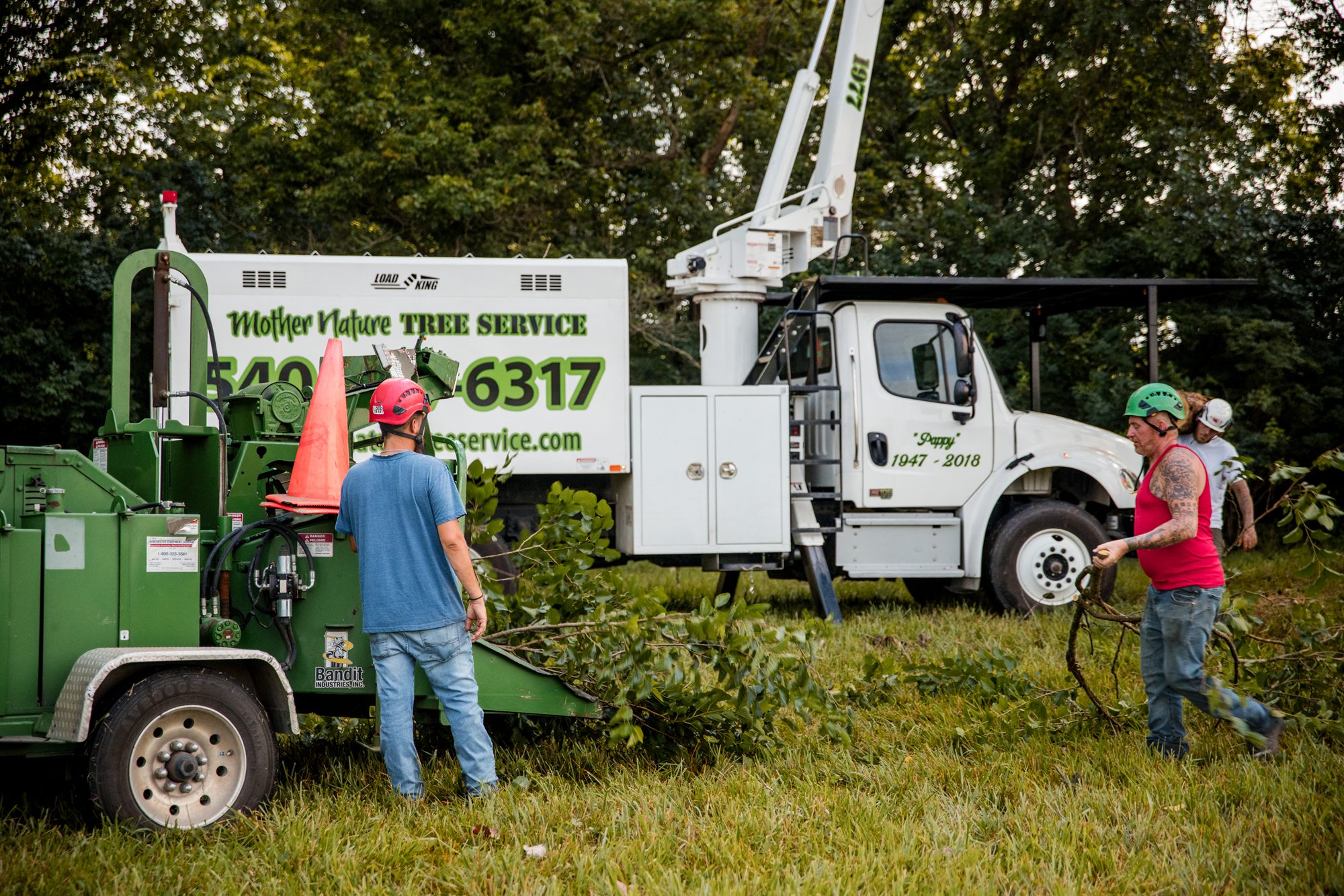 Crew feeding brush into the chipper on a Winchester, VA tree job