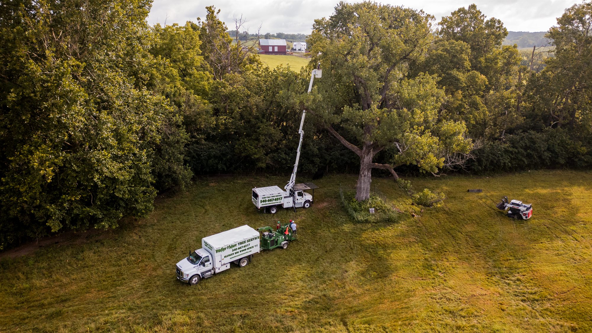 Aerial view of a farm pasture tree job near Winchester, VA