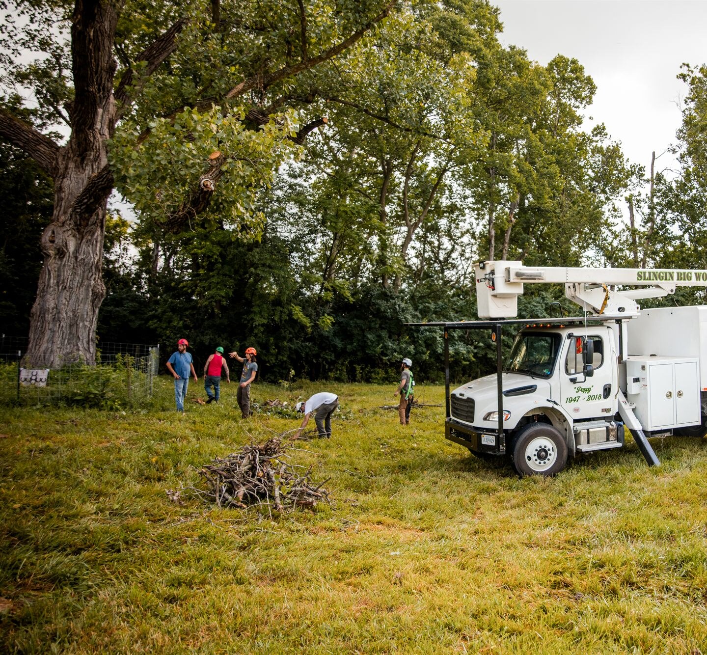 Crew standing in the pasture beside a pile of cut limbs with the bucket truck parked on the grass in Berryville, VA