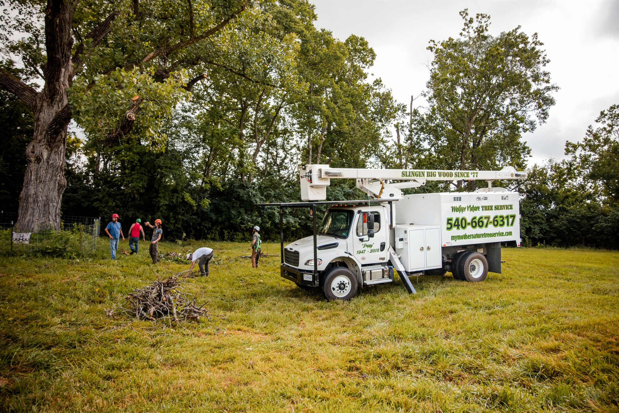 Crew cleaning up a Winchester, VA property after a tree job