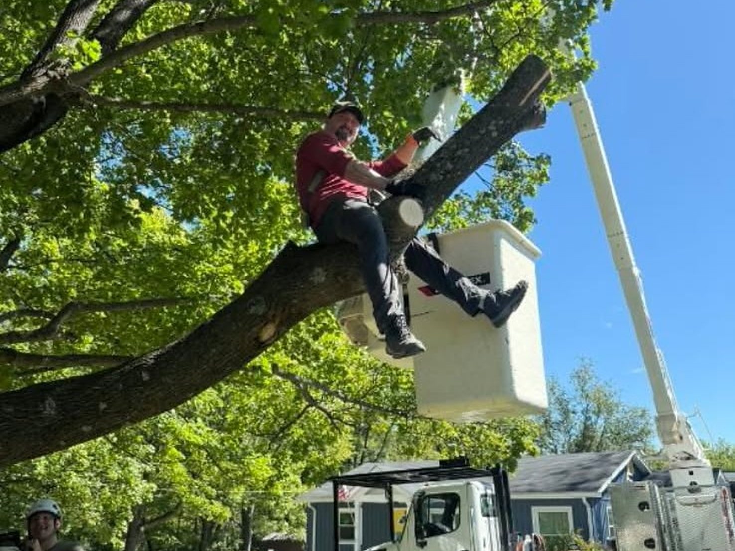 Owner Robbie Whitacre sitting on a freshly cut limb beside the bucket truck on a tree job near Winchester, VA