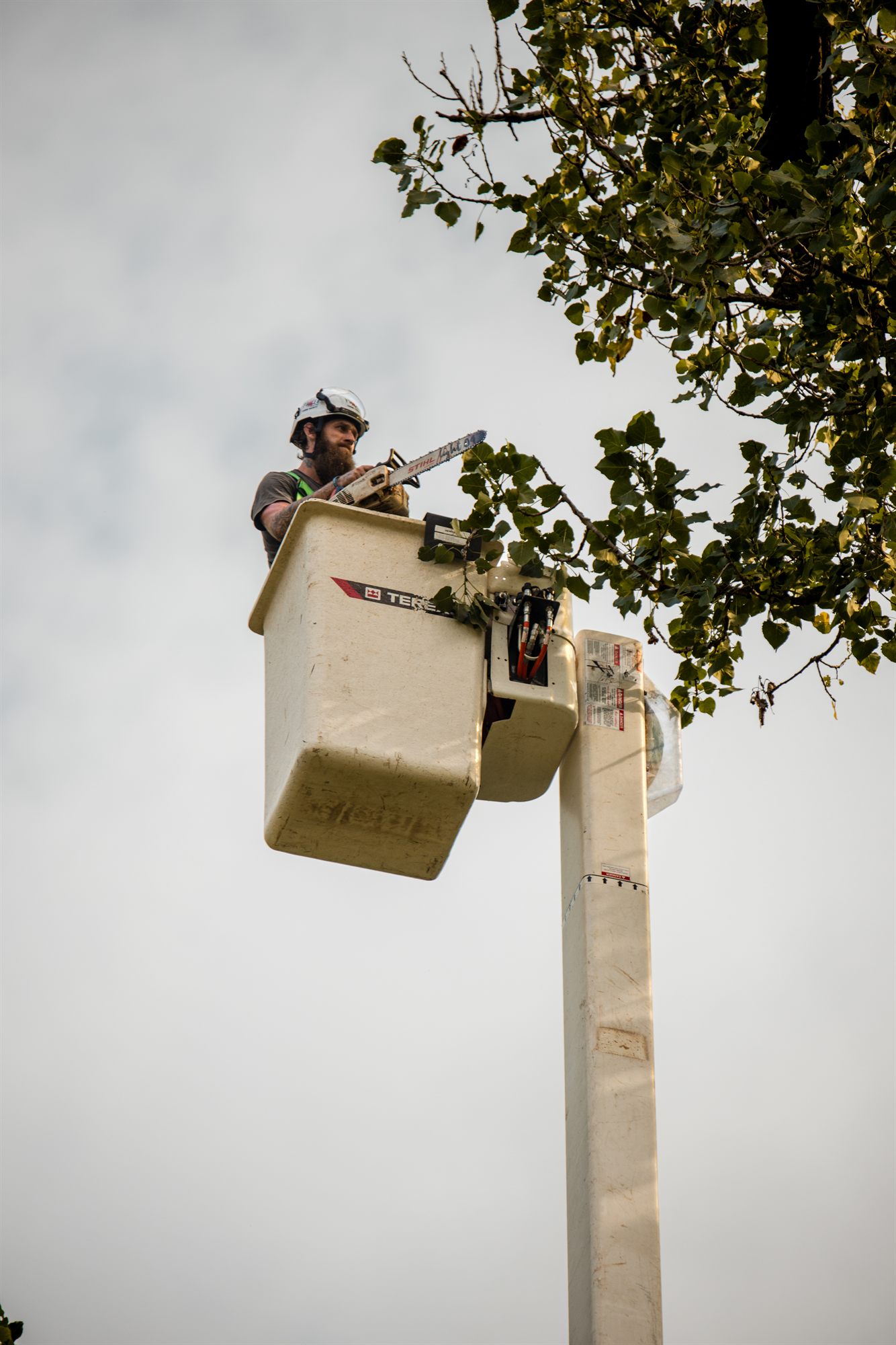 Arborist holding a running chainsaw