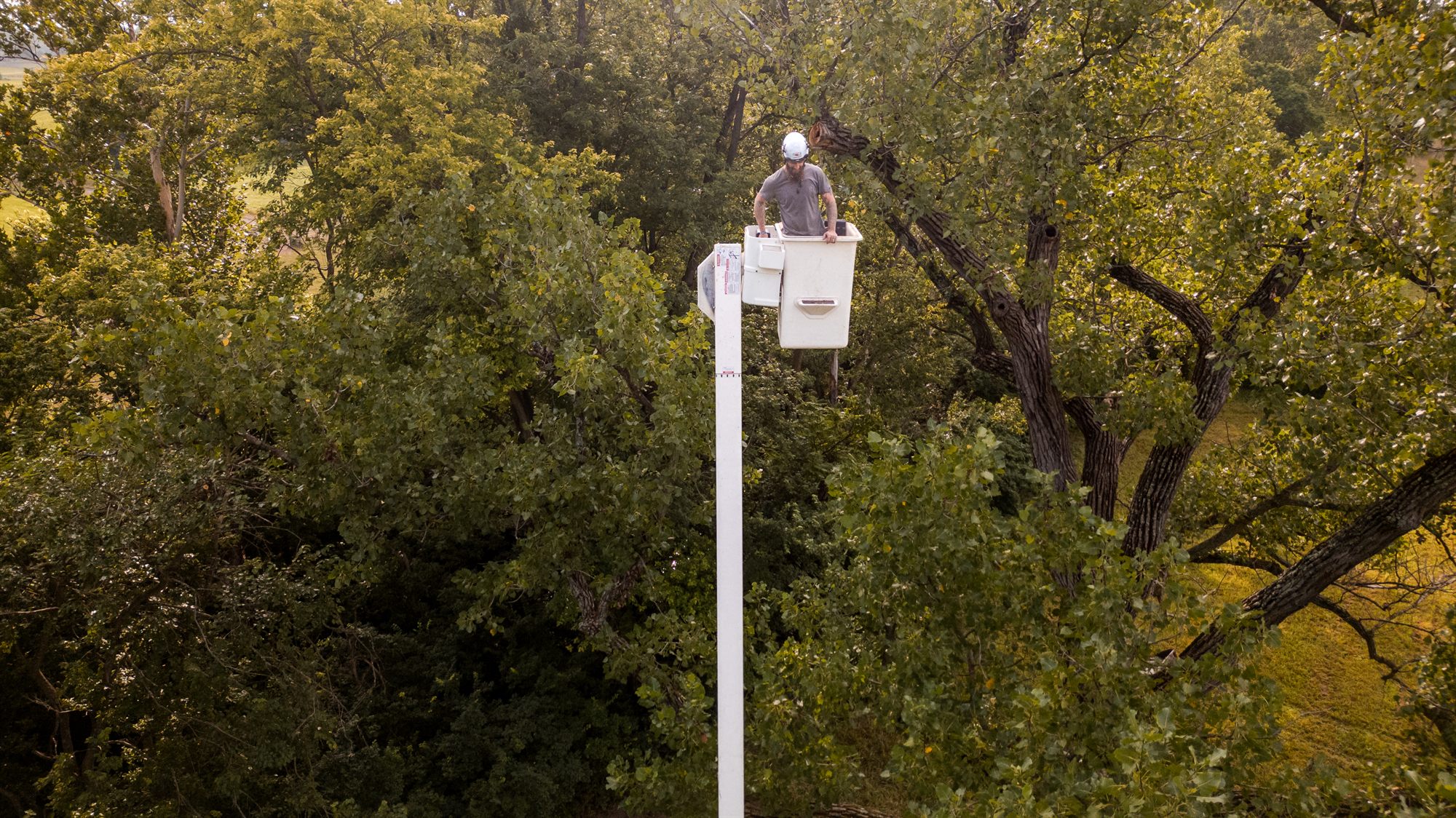 Drone view looking down on an arborist standing in a raised bucket at the top of the boom, level with the canopy of a large tree