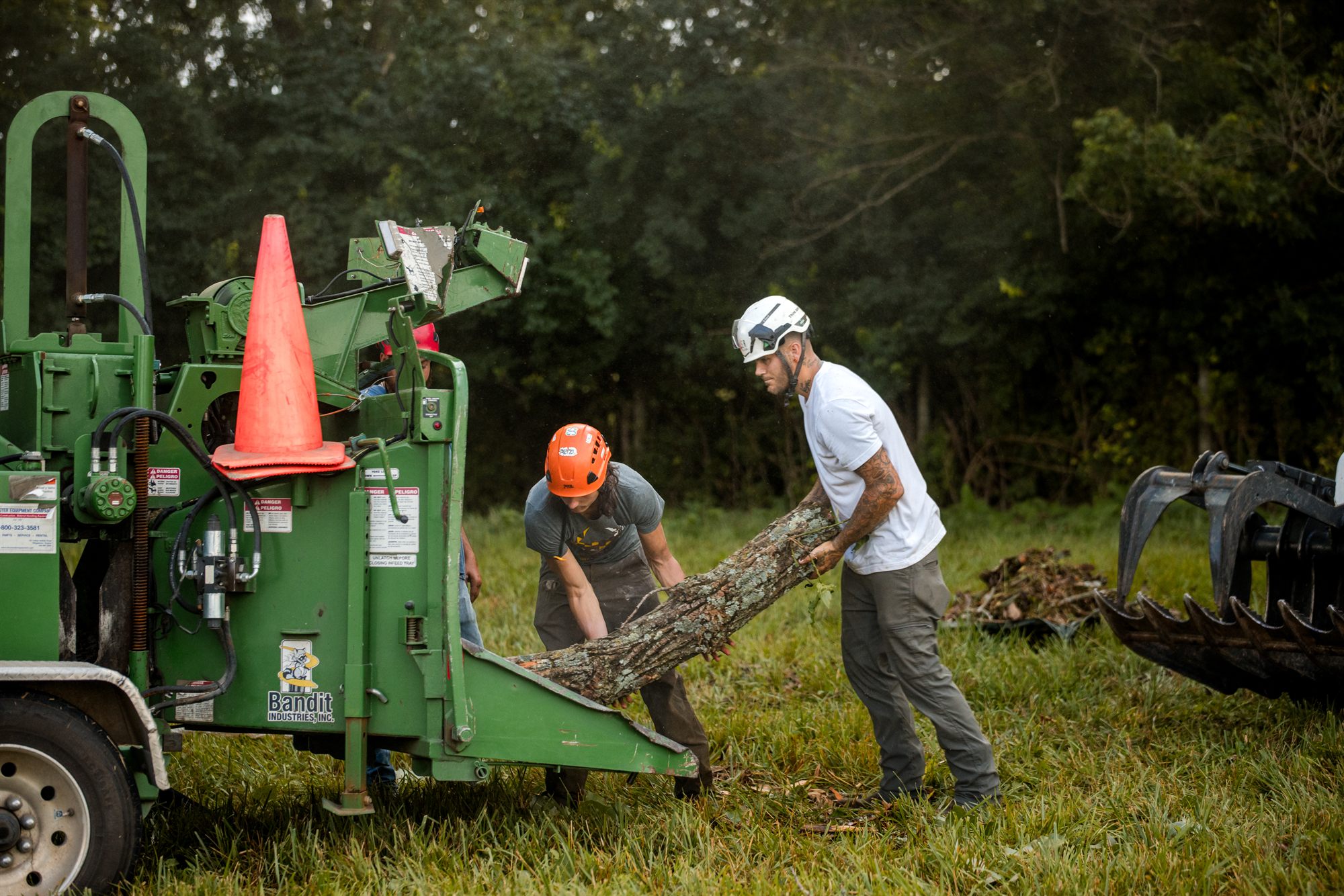 Two crew members carrying a cut log across the pasture at a job site near Berryville, VA