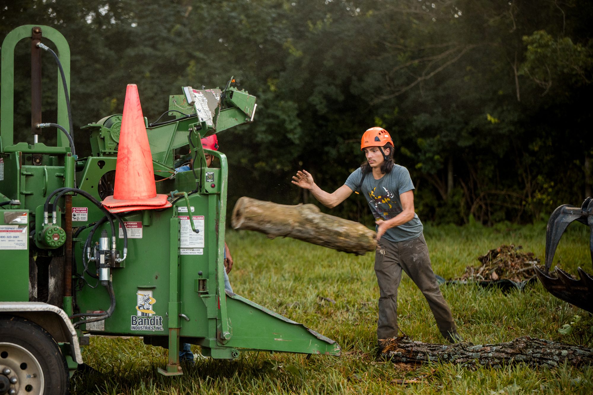 Crew member carrying a cut log toward the infeed of a green Bandit chipper in a pasture in Berryville, VA